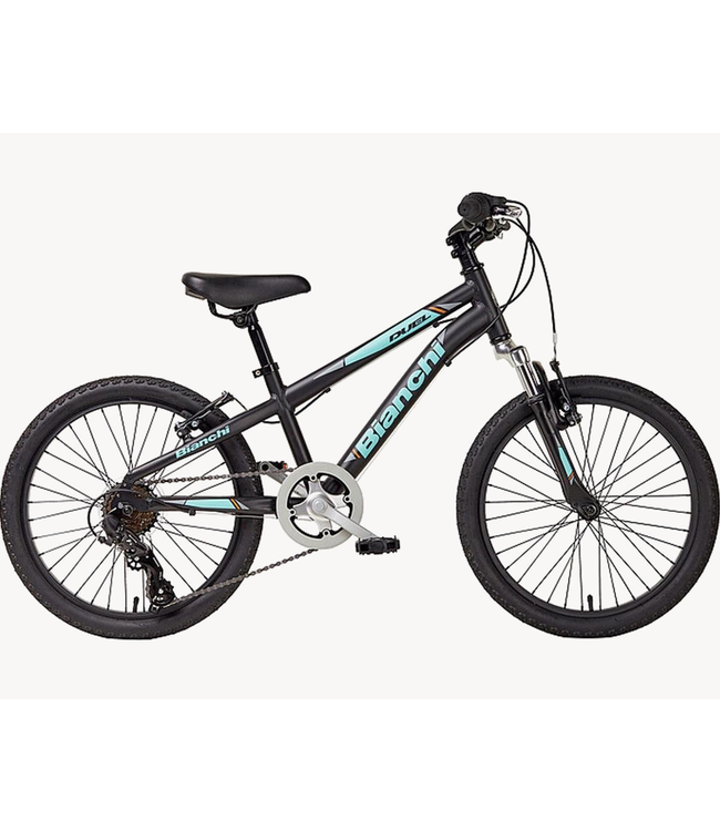 Bianchi BIANCHI Duel 20" Boy 28cm BLACK/CK16 MATTE