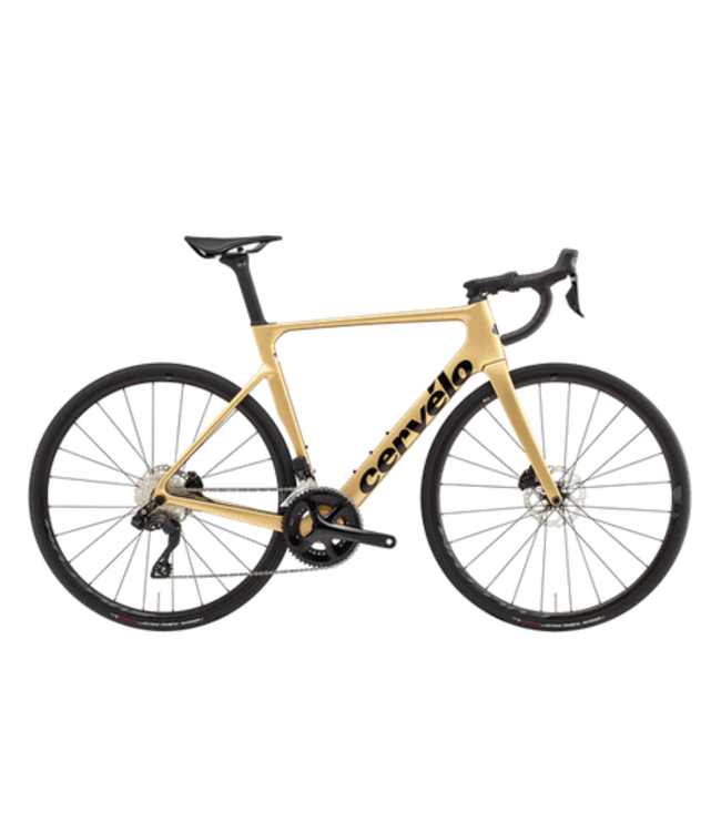 Cervelo Cervelo Soloist 105 Di2- Gold Dust, 54"