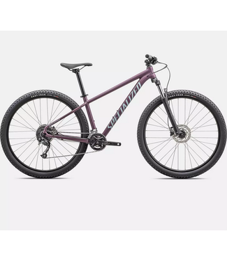 Specialized, Rockhopper- Satin Cast Lilac / Sea Foam, L