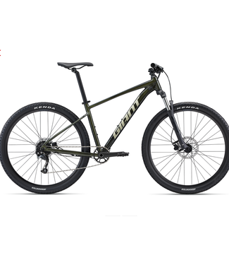 Giant, Talon 2- Phantom Green, XS - SOMI BIKE, LLC