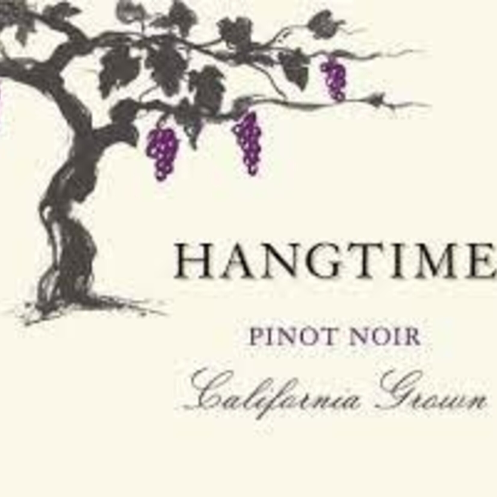 Hangtime Pinot Noir (2022) 750ml