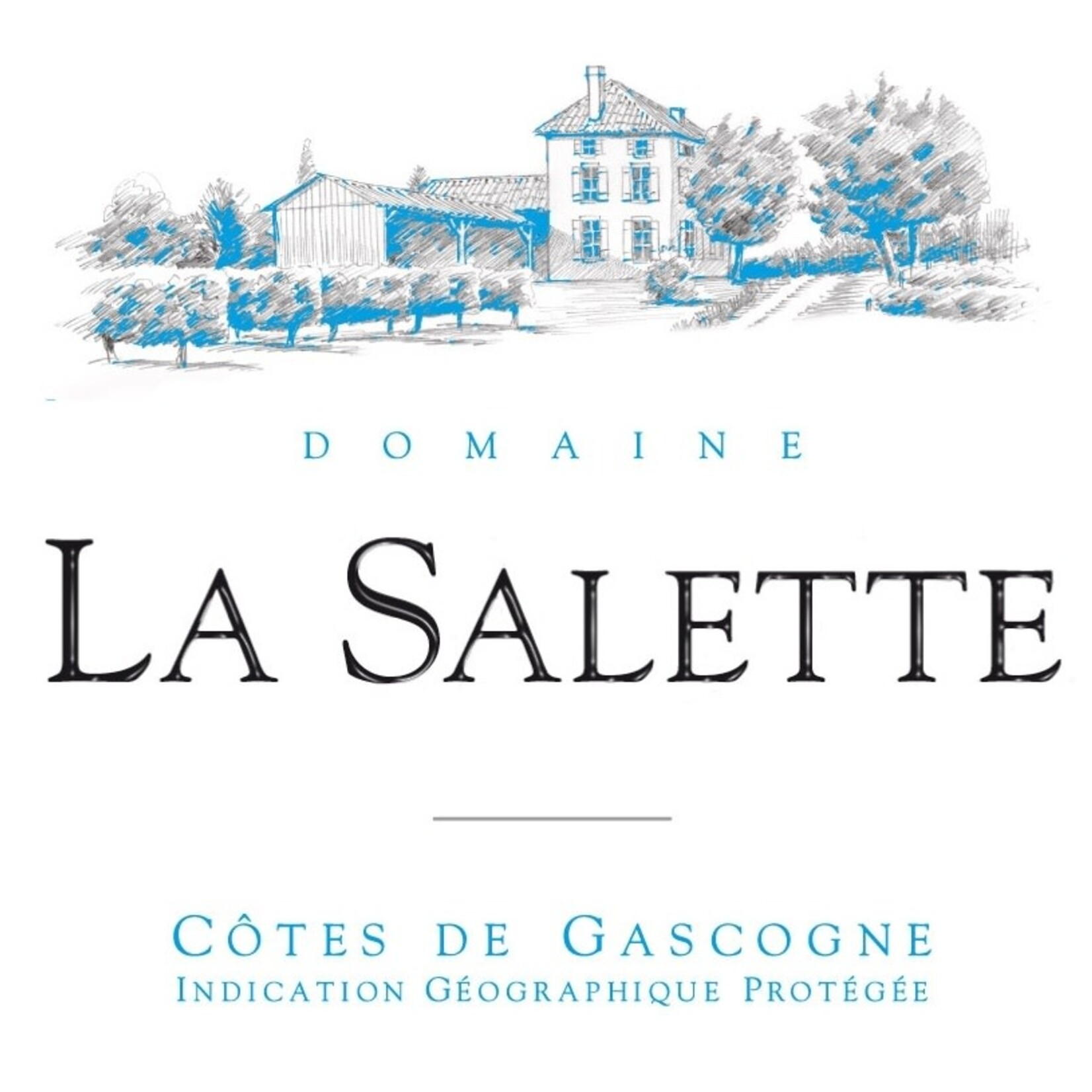 Domaine La Salette, Côtes de Gascogne (2023) 750ml