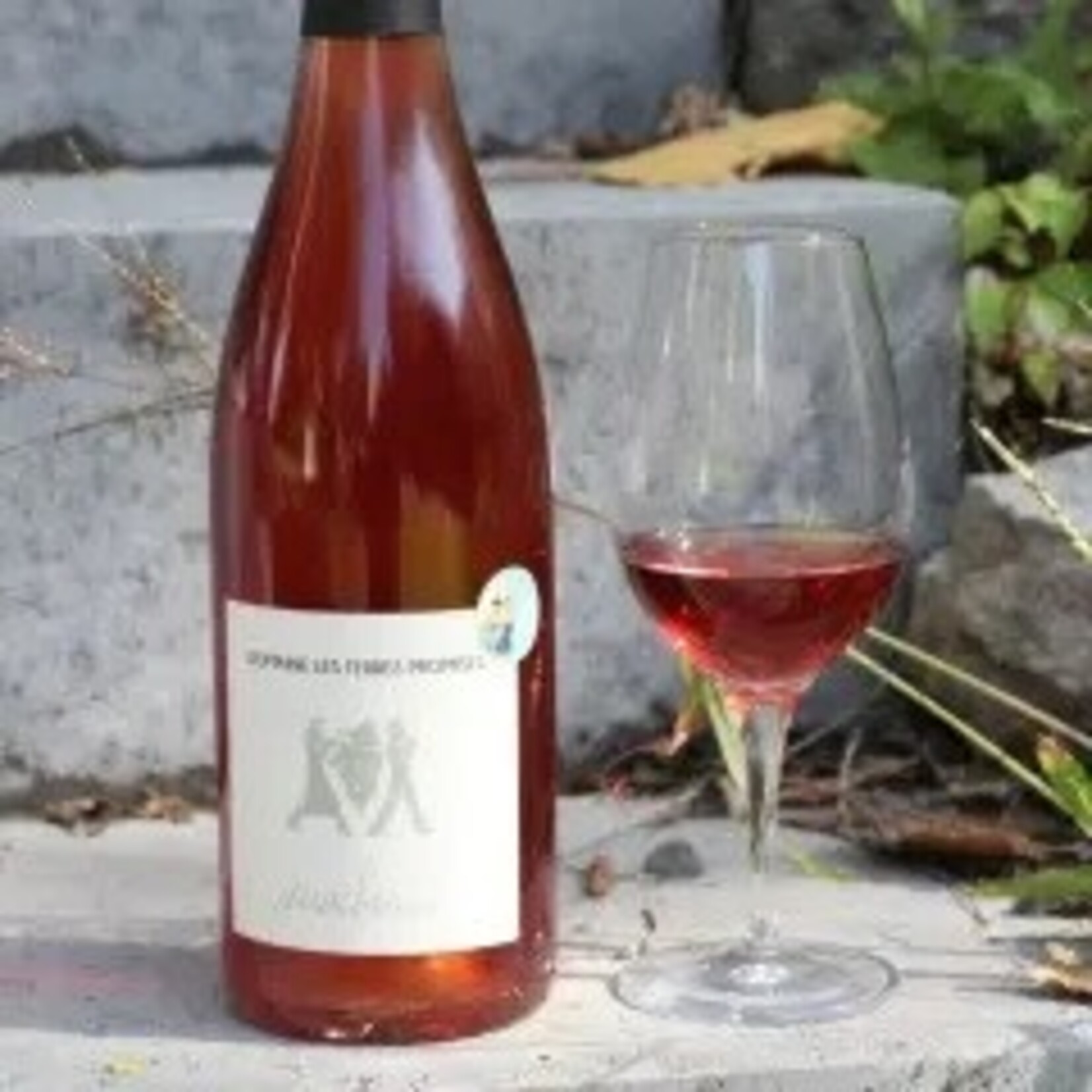 Domaine Les Terres Promises Anachronie Rose (2022)750ml