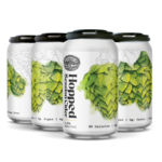 Potter's Hopped Session Cider 6pk CN