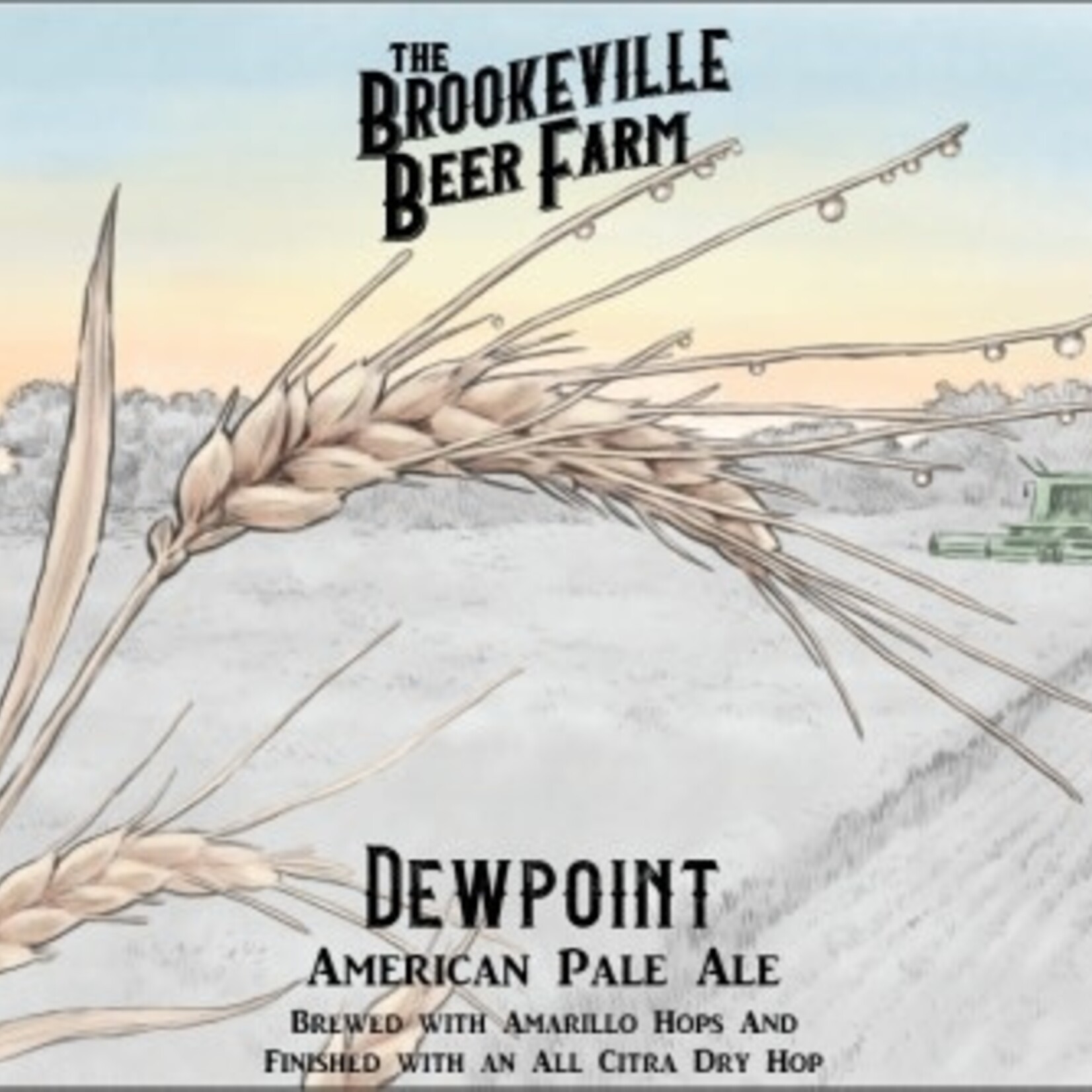 Brookeville Beer Farm Dewpoint 6pk