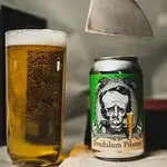 Raven Pendulum Pilsner 6pk