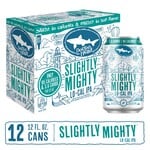 Dogfish Head Slightly Mighty 12pk