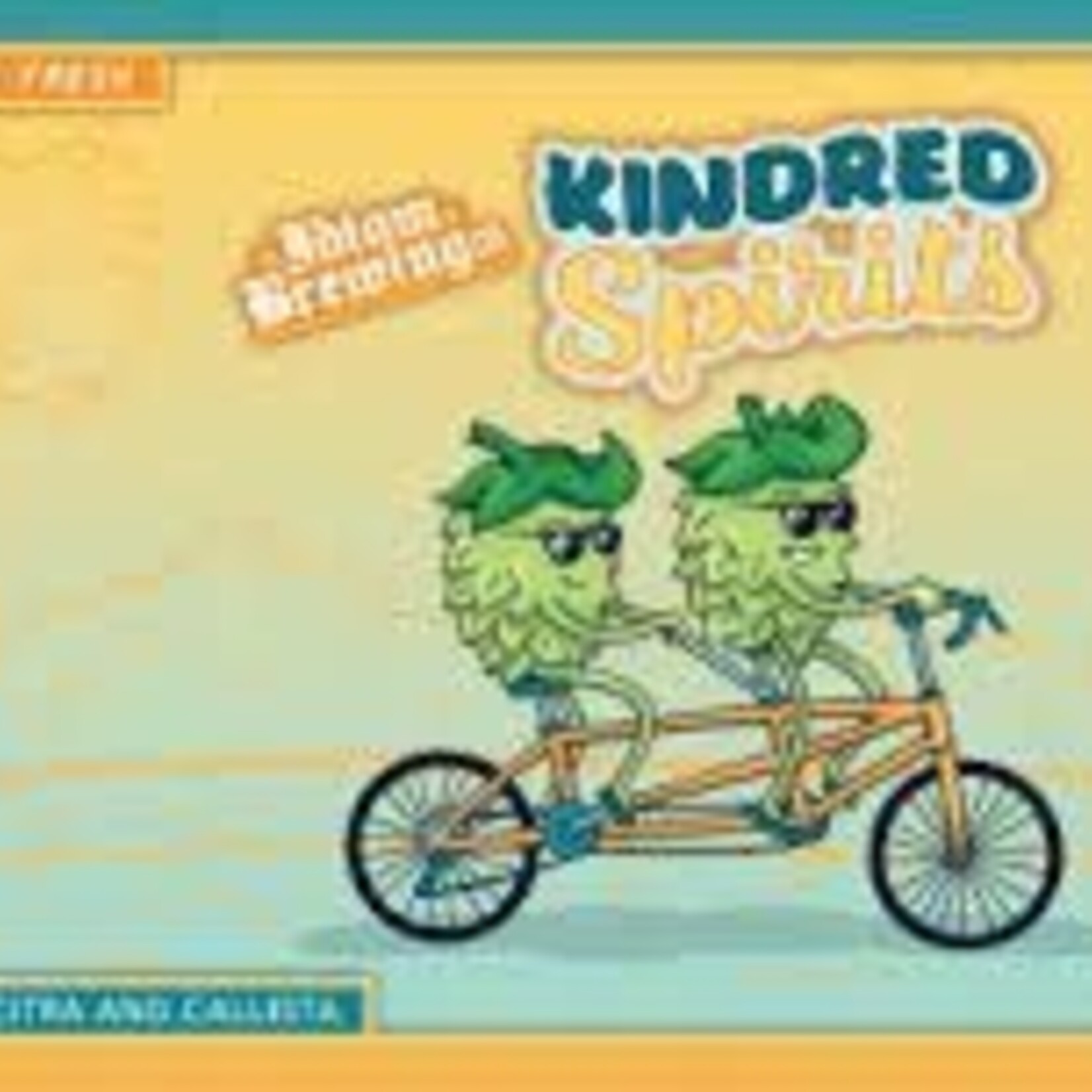 Idiom Kindred Spirits 6pk CN