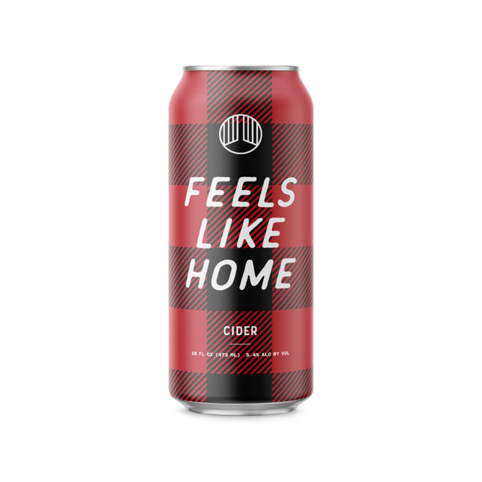 Artifact Feels Like Home Cider 16oz Single