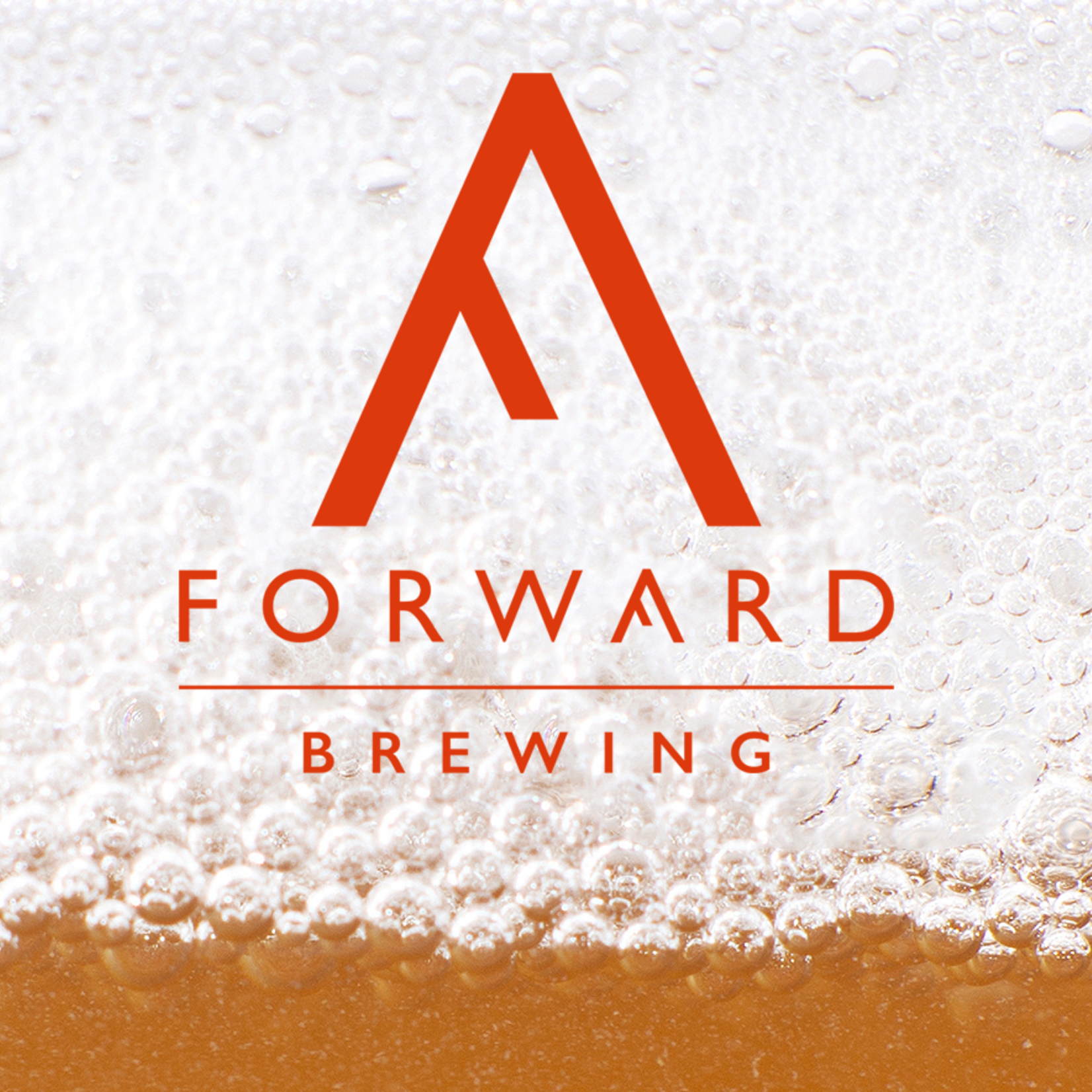 Forward Light & Cloudy 6pk CN