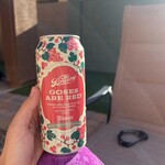 The Bruery Goses Are Red 4pk CN