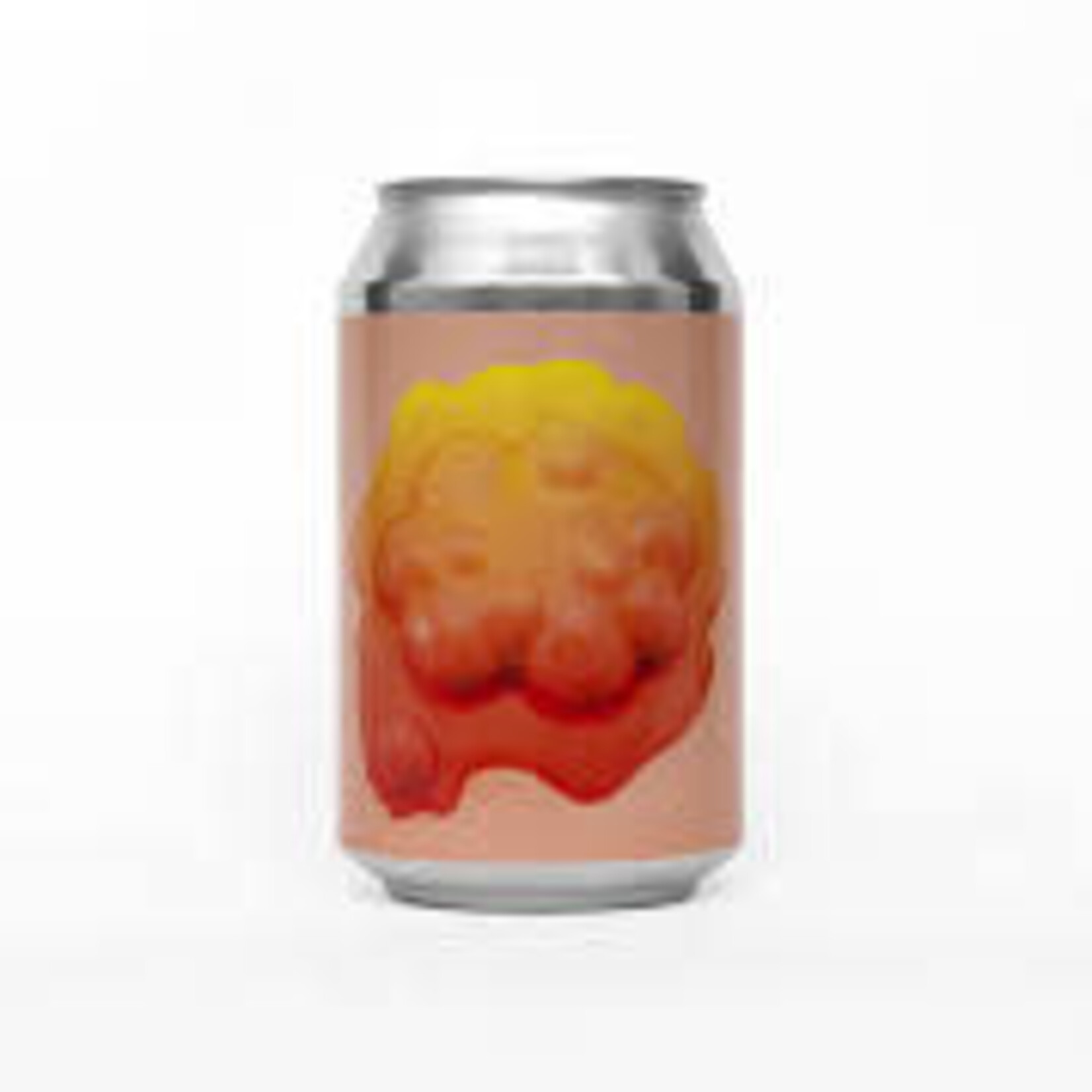 Omnipollo Fruit World Famous 16oz CN