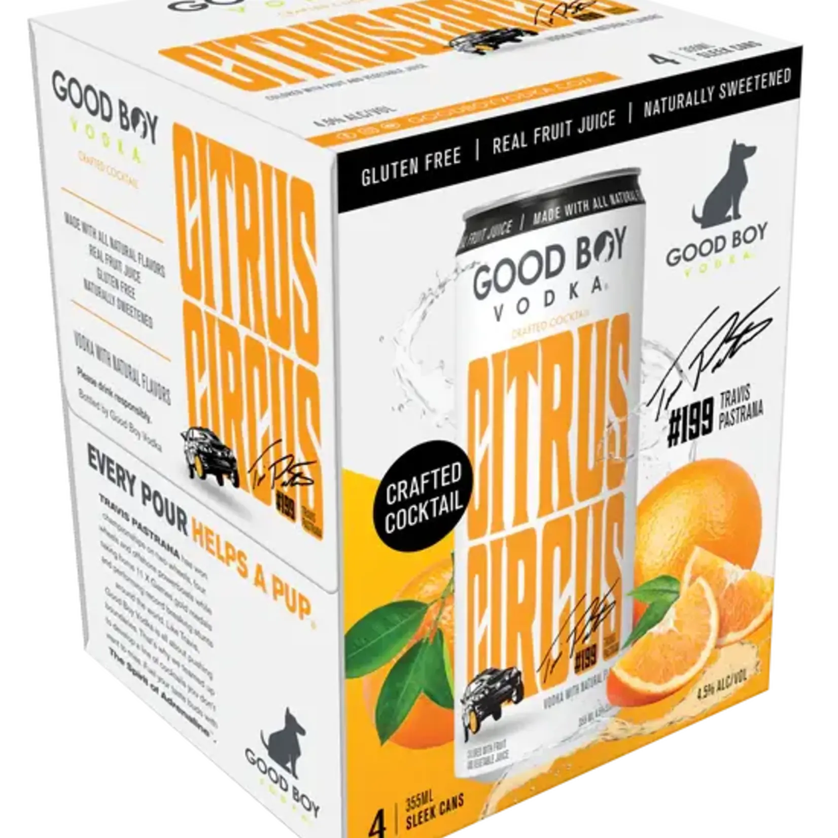 Good Boy Vodka Seltzer Citrus Circus 4pk CN