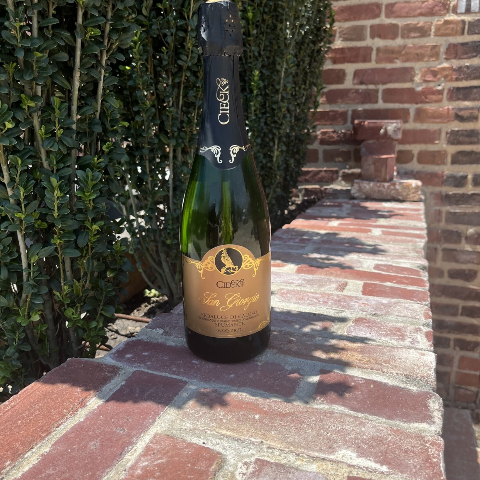 Cieck Sparkling San Giorgio Erbaluce di Caluso DOCG Spumante (2018) 750ml