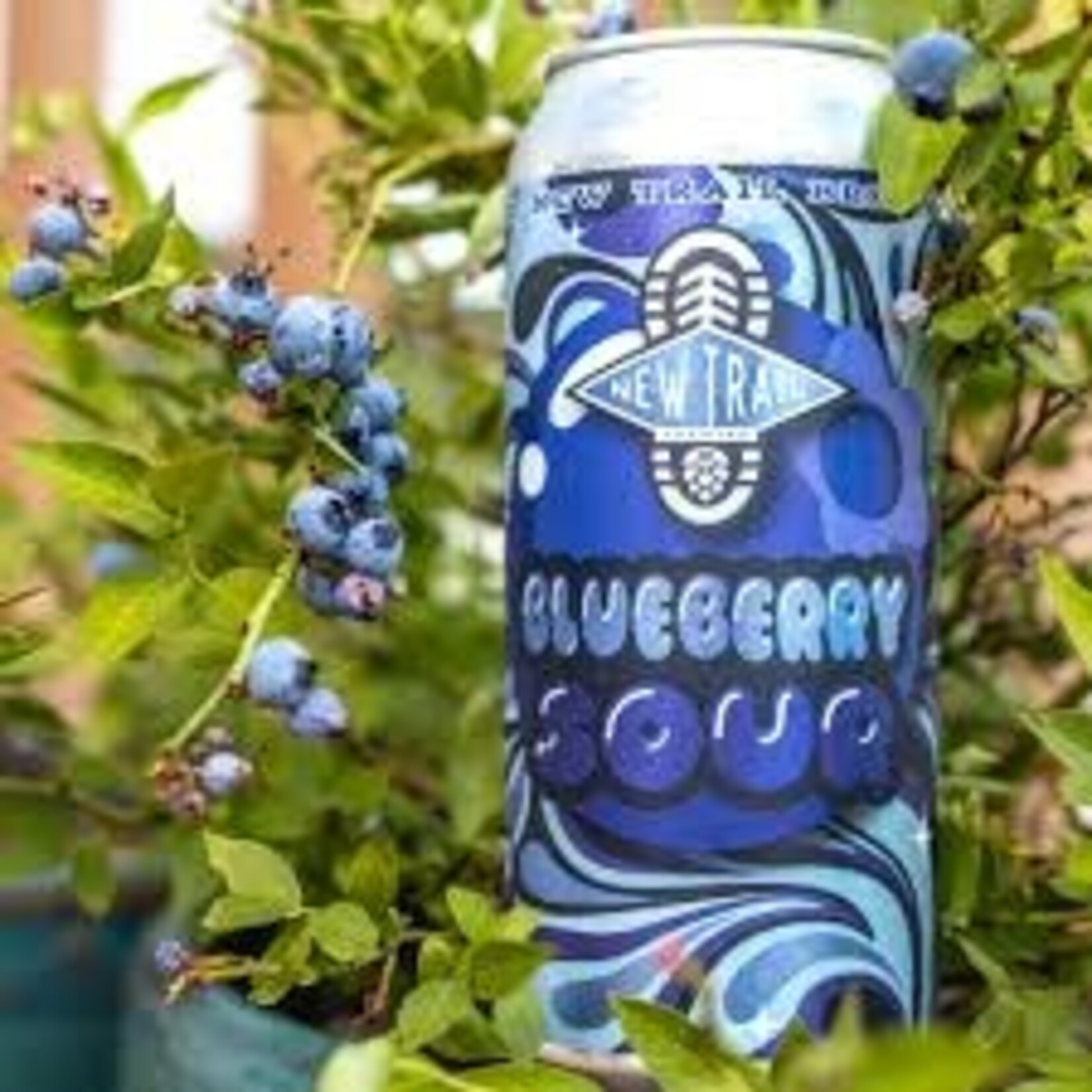 New Trail Blueberry Sour 16oz CN