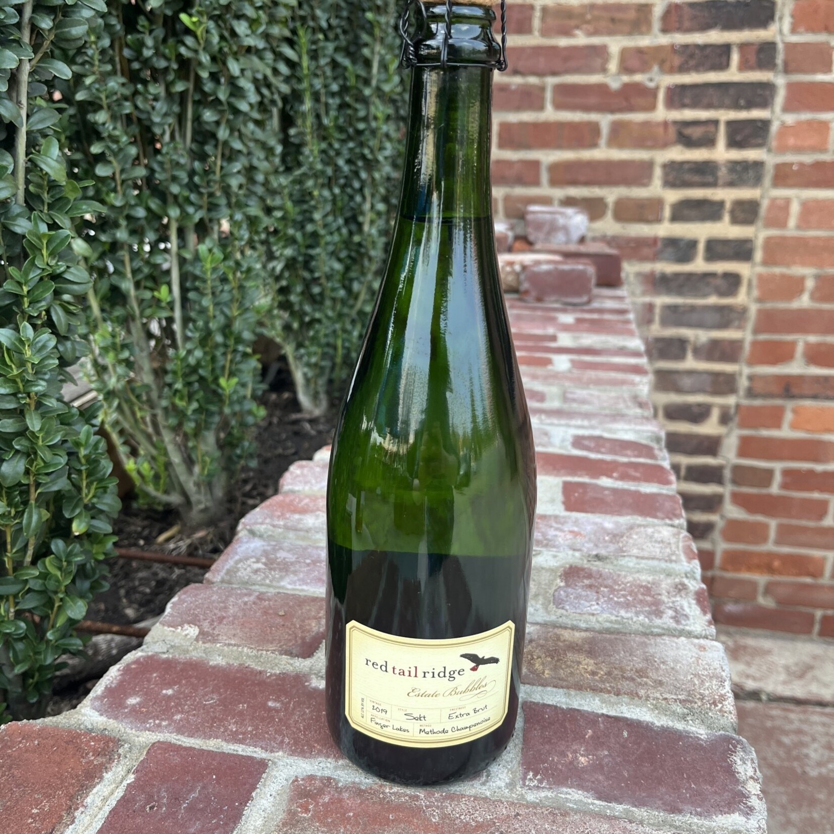 Red Tail Ridge Sekt Extra Brut Sparkling Riesling, Finger Lakes (2019) 750mL