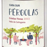 Cara Sur Criollas Tintas 'Pergolas' Valle de Calingasta (2023) 750ml