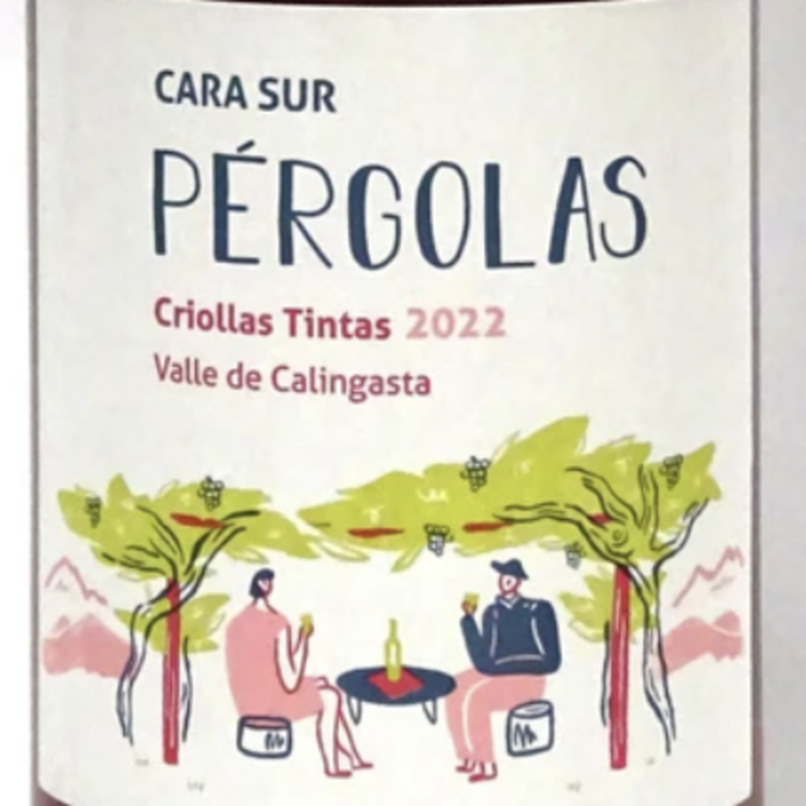 Cara Sur Criollas Tintas 'Pergolas' Valle de Calingasta (2023) 750ml