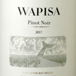 Wapisa, Pinot Noir Rio Negro (2022) 750ml