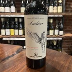 Miguel Torres Andica Cabernet Sauvignon (2022) 750ML