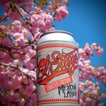 Wico Street El Steezo 6pk CN