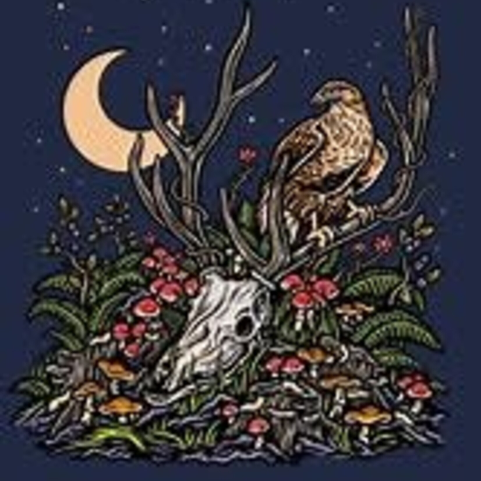 Great Notion Northleft 4pk