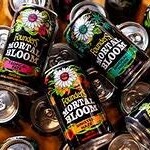 Founders Mortal Bloom Variety 12pk