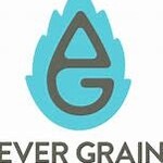 Evergrain Sorbetto #90 16oz CN