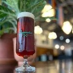 Suspended Leda of Raspberries 375ml