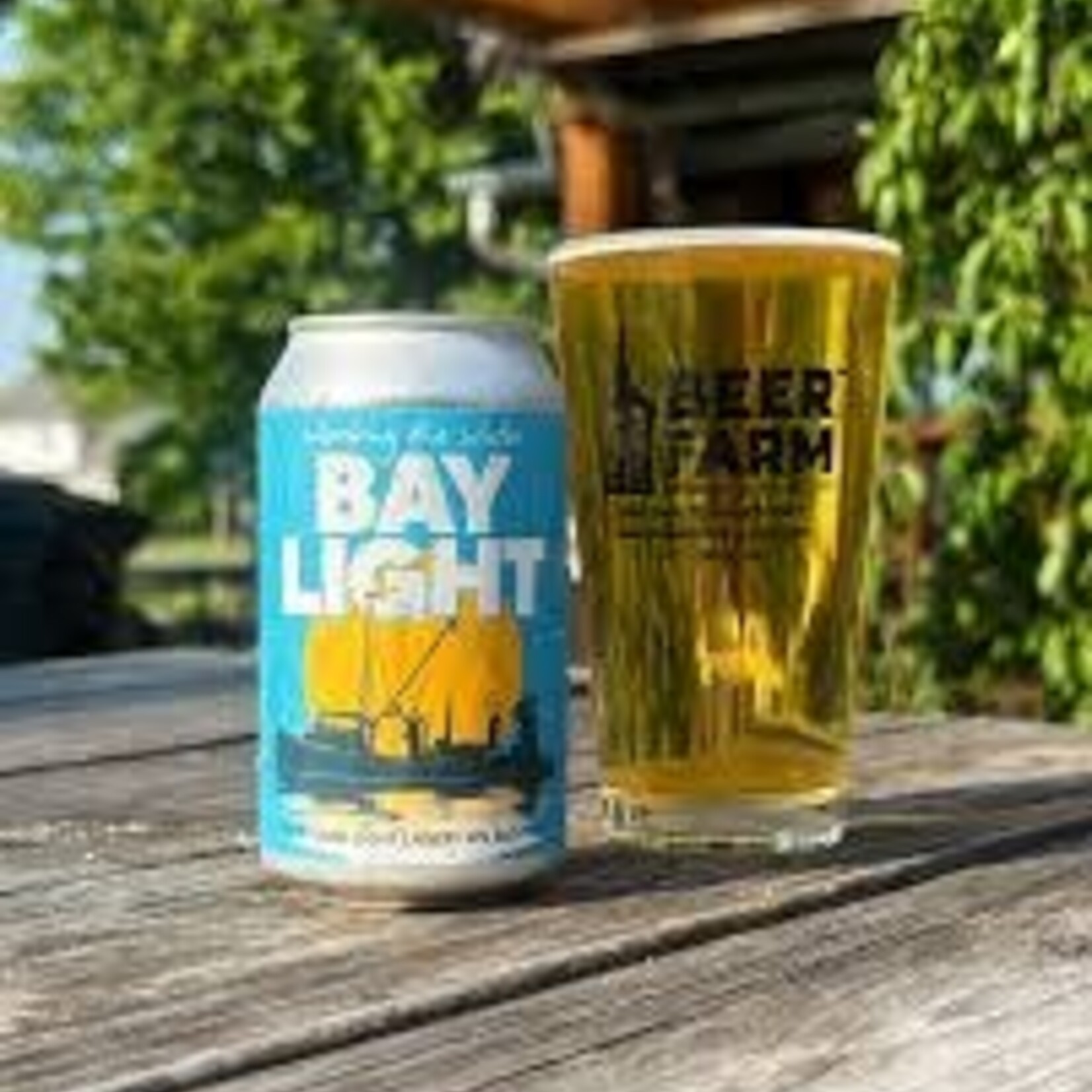 Bay Light 12pk CN