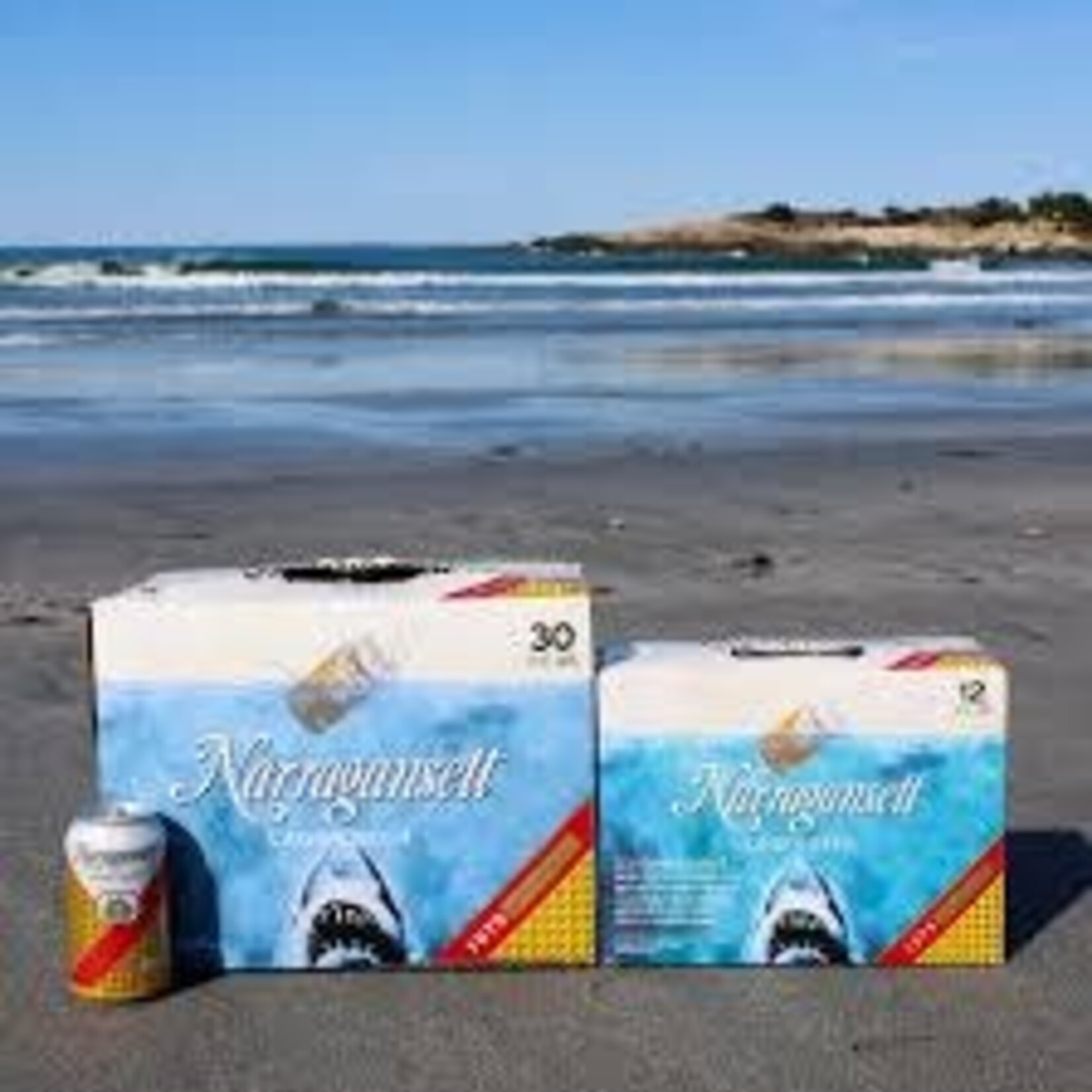 Narragansett 12pk CN
