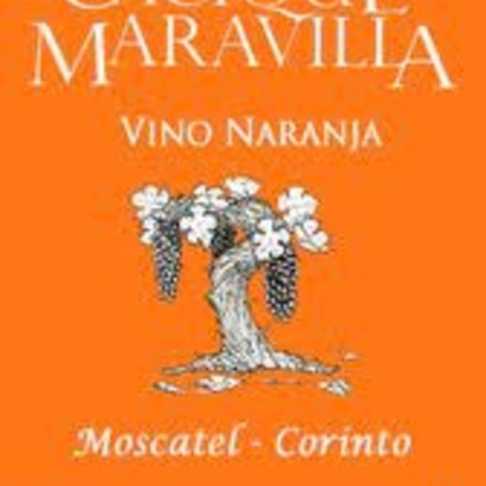 Cacique Maravilla, Moscatel de Alejandria Vino Naranja Secano Interior Yumbel (2022) 750ml
