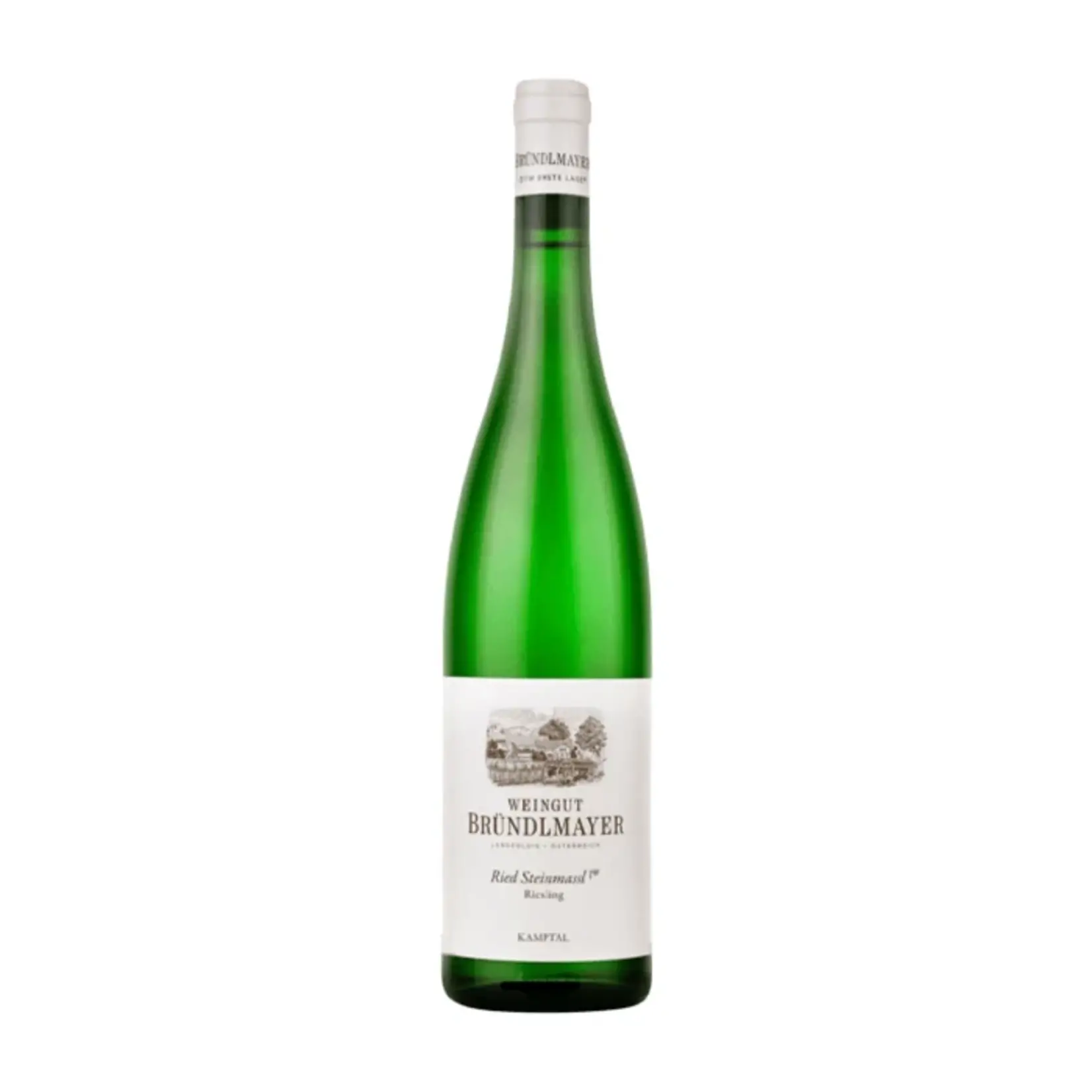 Weingut Brundlmayer Ried Steinmassl Riesling Kamptal (2022) 750ml