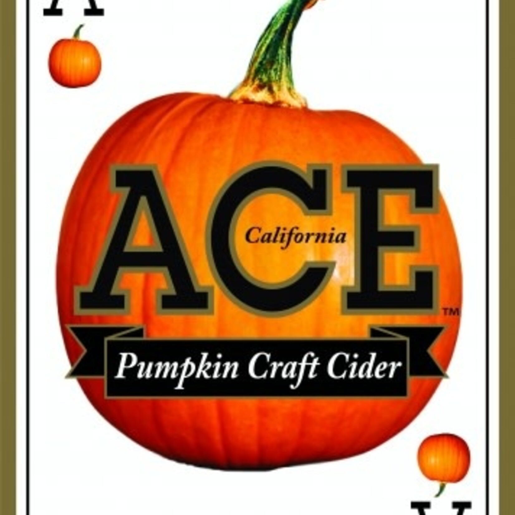 ACE Pumpkin Cider 6pk