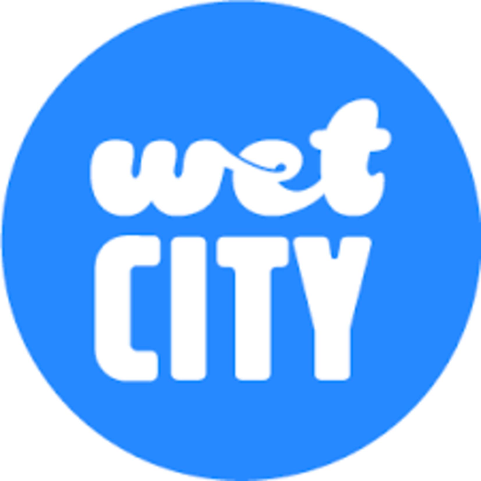 Wet City Beachcomber Blues 6pk CN