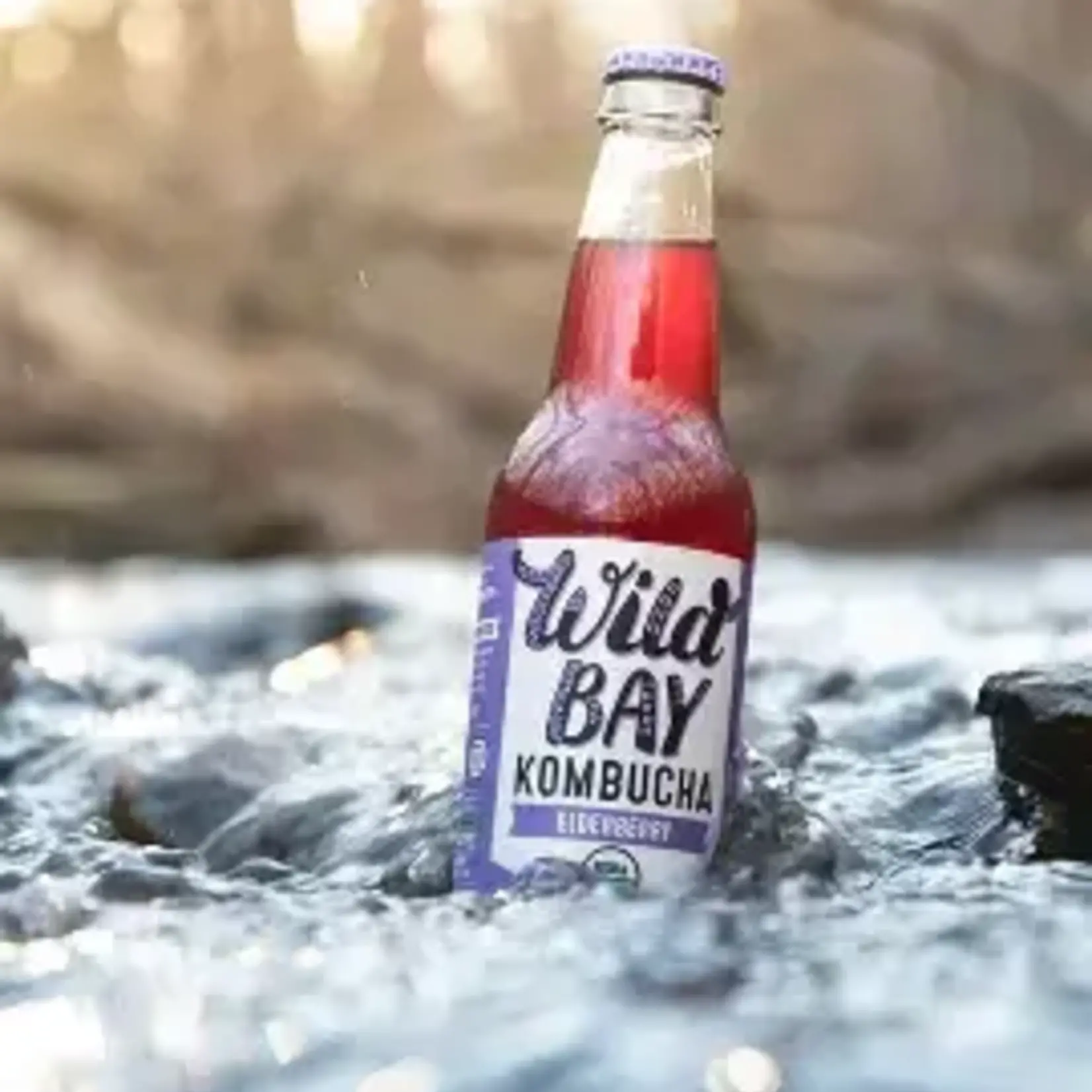Wild Bay Elderberry Kombucha 12oz