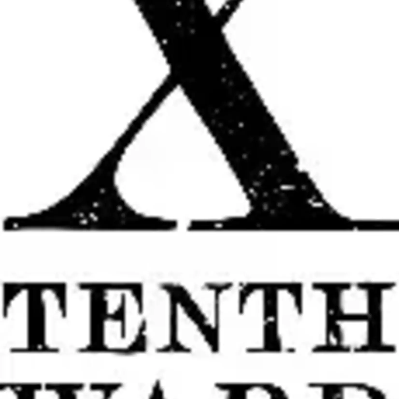 Tenth Ward Pomegranate Apple Crush 4pk