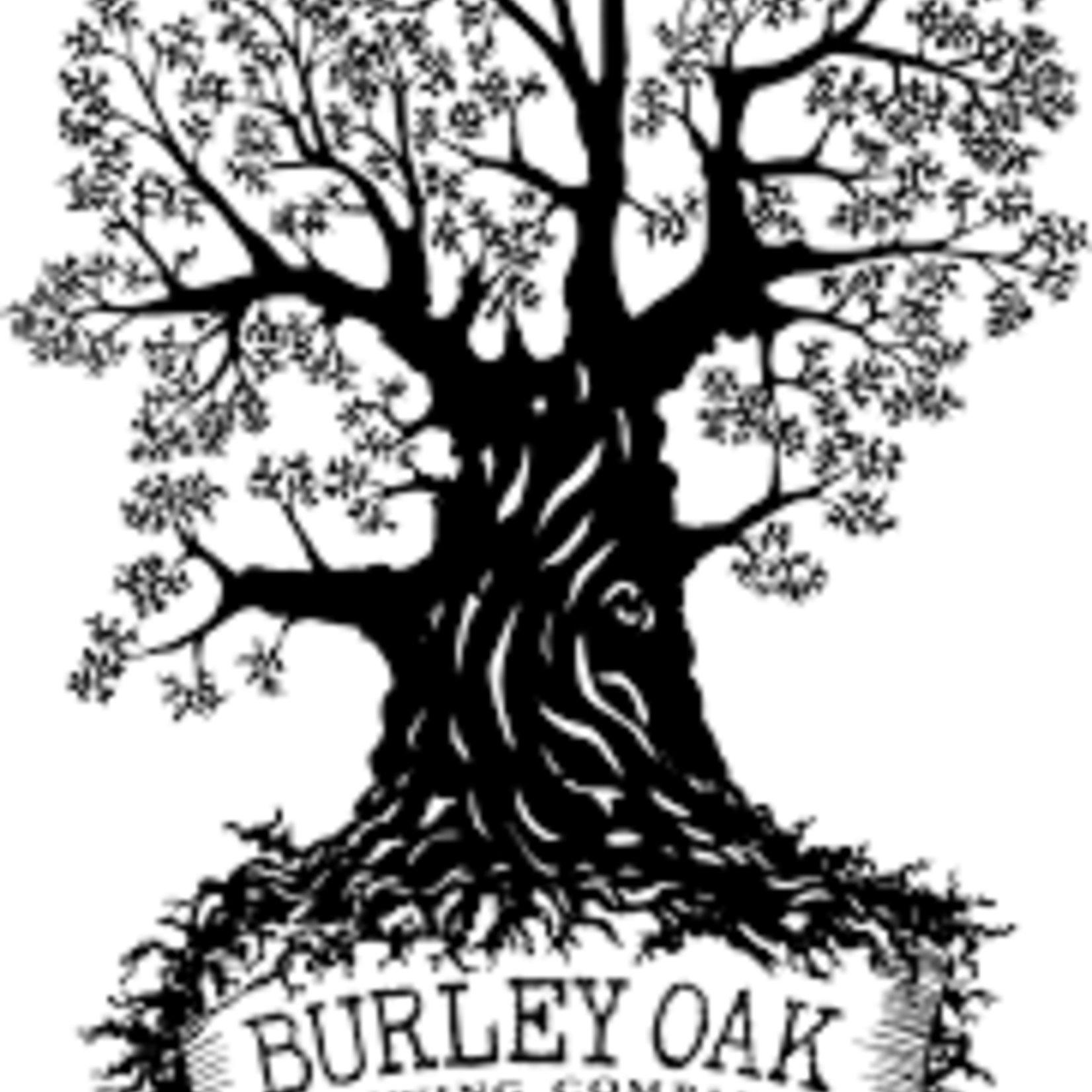 Burley Oak JREAM Caramel Apple 4pk CN