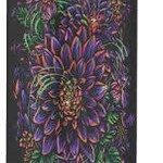 South County South County Sonic Bloom 4pk CN