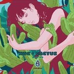 Evergrain Hug A Cactus 4pk CN