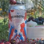 Evergrain Sorbetto 95 4pk CN