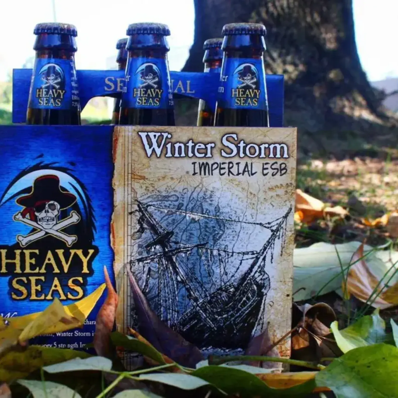 Heavy Seas Winter Storm 6pk