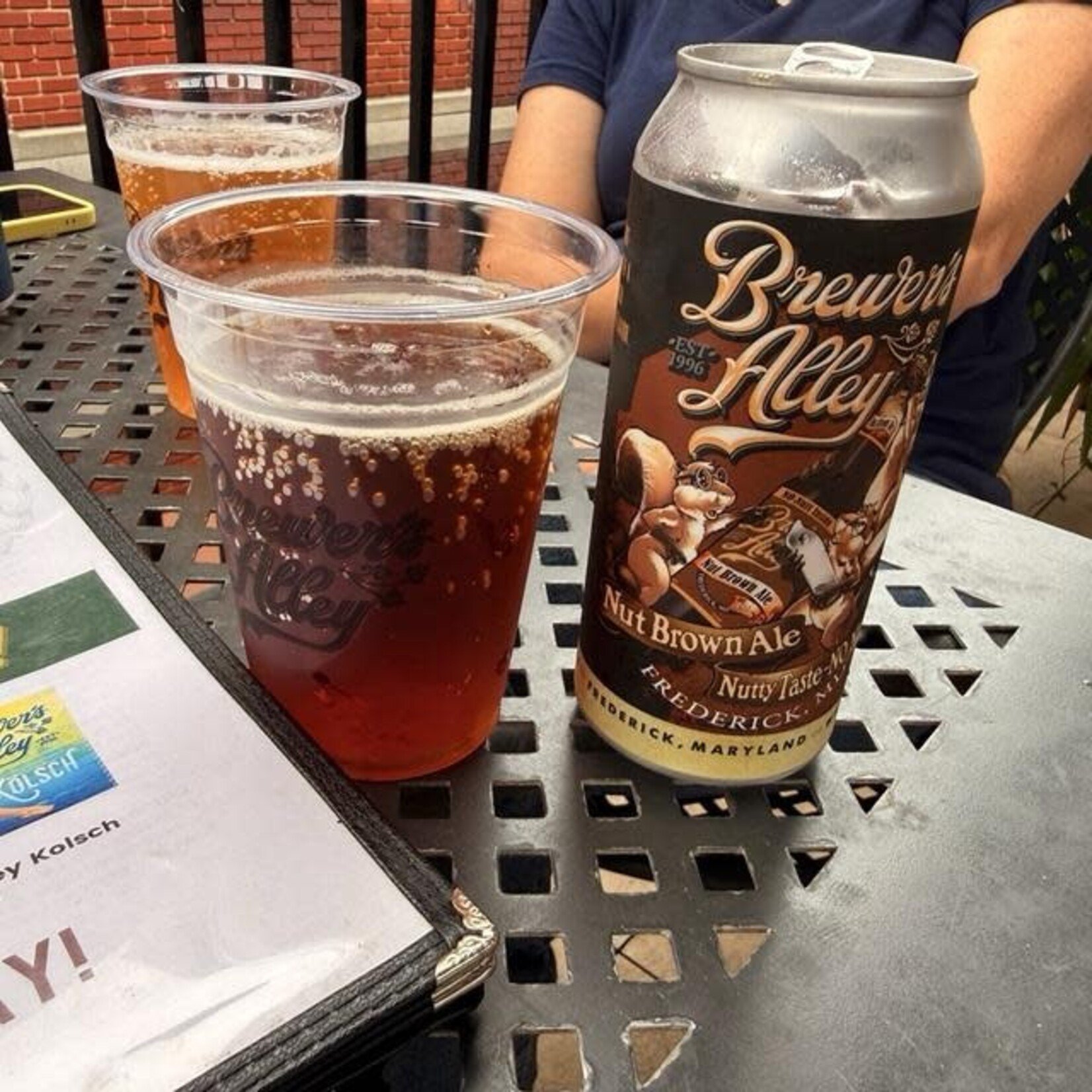 Brewer's Alley Nut Brown 4pk CN