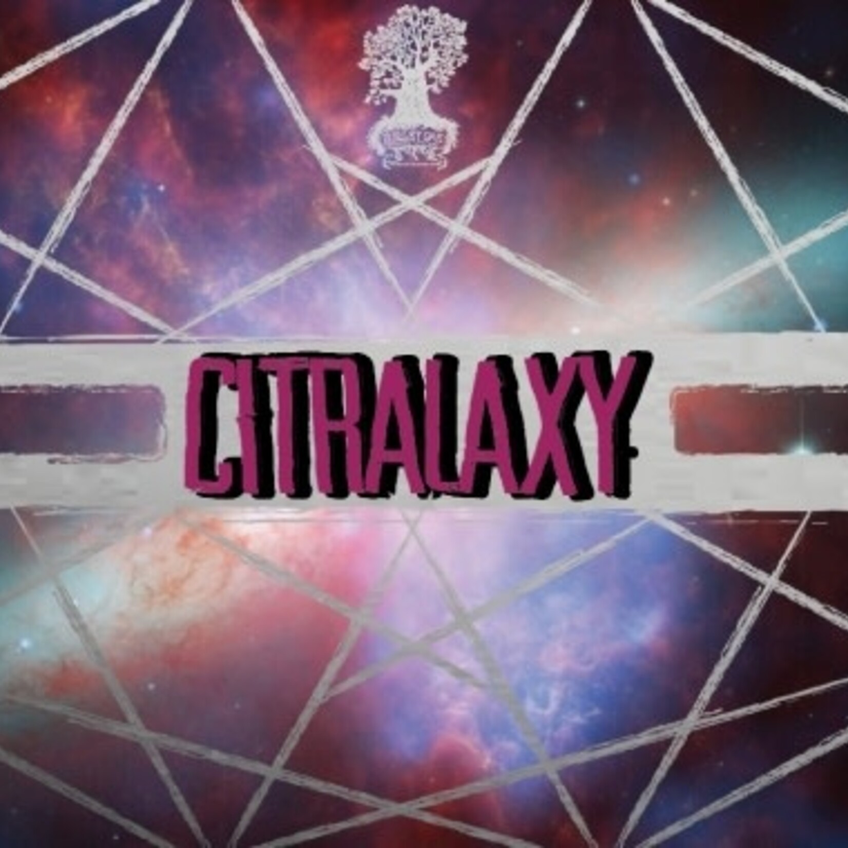 Burley Oak Citralaxy 4pk CN