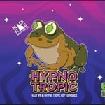 Black Flag Hypno Tropic 16oz CN