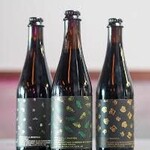 Other Half Snowbirds 9 500mL