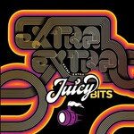 Weldwerks Extra Extra Juicy Bits 4pk CN