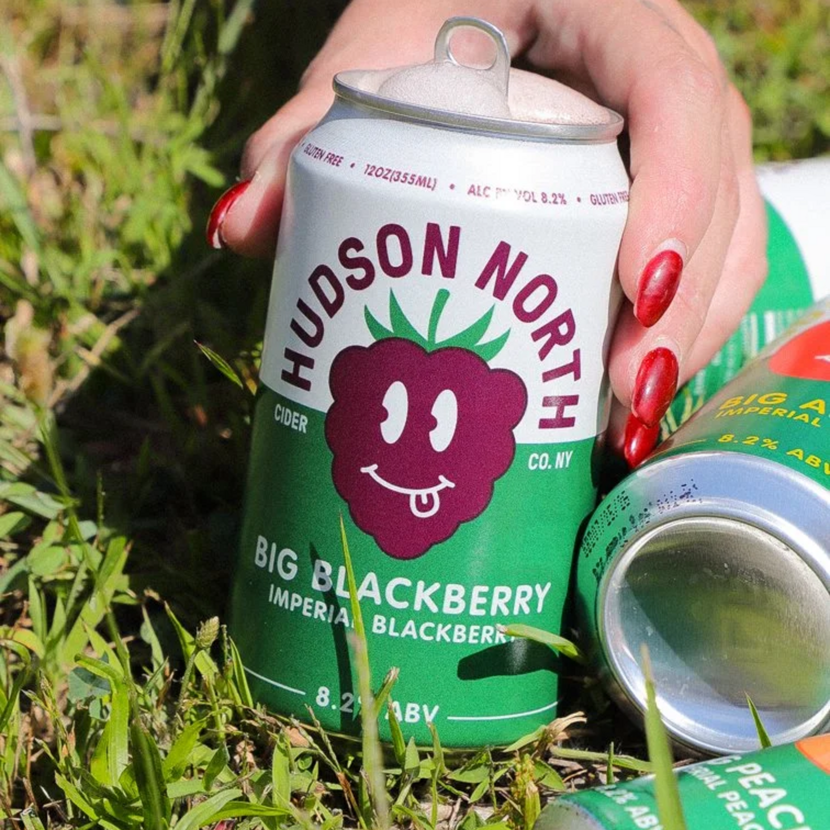 Hudson North Big Blackberry Cider 6pk