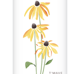 Calvert Black Eyed Susan 6pk CN