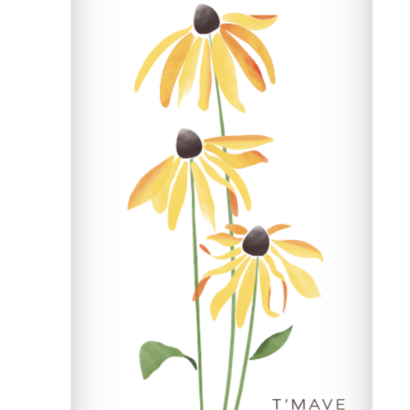 Calvert Black Eyed Susan 6pk CN